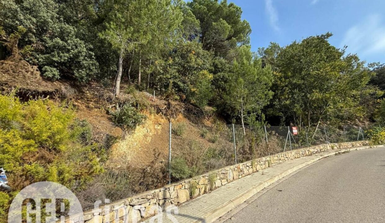 500806_49181862194_c4f52959-7089-436f-85ac-a102a7804b40