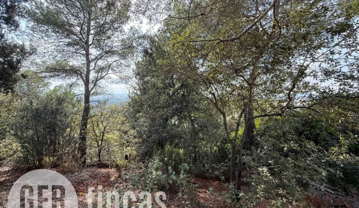 500806_49181862194_e11b47b5-6920-49d2-8248-0262eb084097