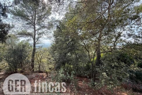 500806_49181862194_e11b47b5-6920-49d2-8248-0262eb084097