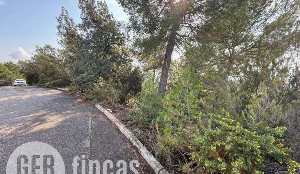 500806_49181862194_e753226a-e35a-47d4-9f4d-e1feaae778fd