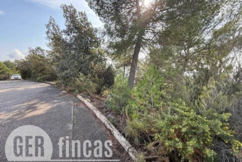 500806_49181862194_e753226a-e35a-47d4-9f4d-e1feaae778fd