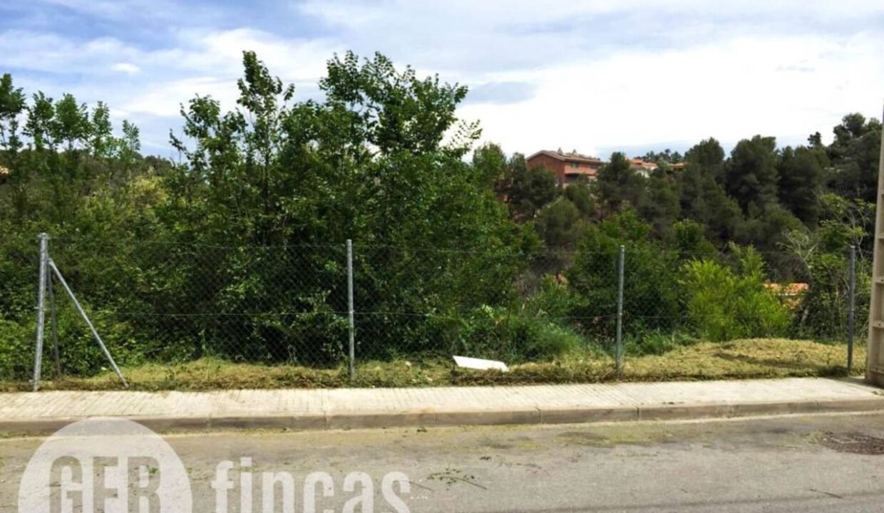 500806_50015978985_bc537c7e-af4d-4b25-99ef-bce379dddb97