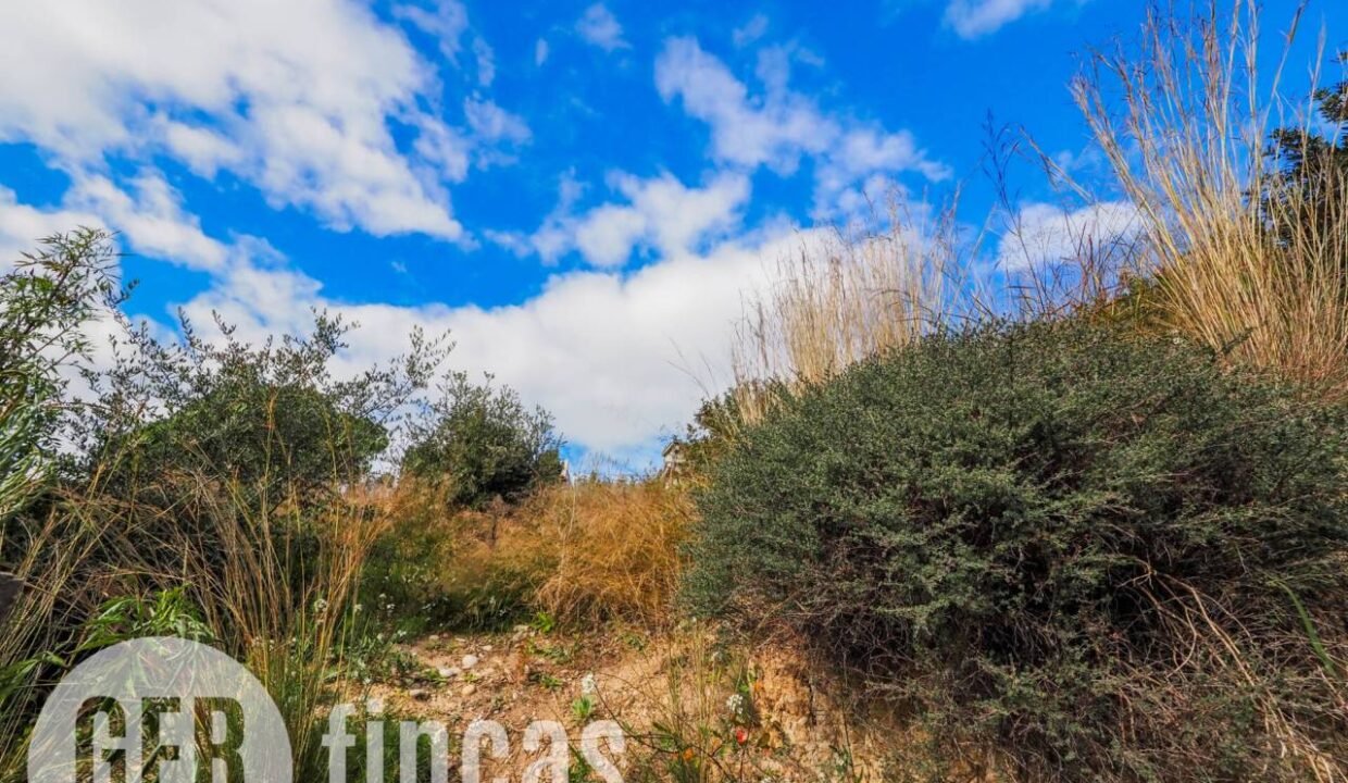 500806_50837128698_b193f5c4-a01e-4dcc-a64c-5e8077ac38dc