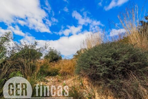 500806_50837128698_b193f5c4-a01e-4dcc-a64c-5e8077ac38dc