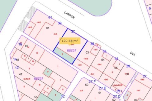 500806_52597248096_13_20250328102457139