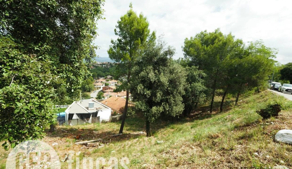 500806_55040968872_cb933951-0b5d-4373-8cf7-cc13c2fe6642