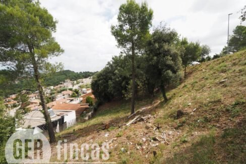 500806_55040968872_df4e76ef-ecca-49d7-9545-8b0143dab51c