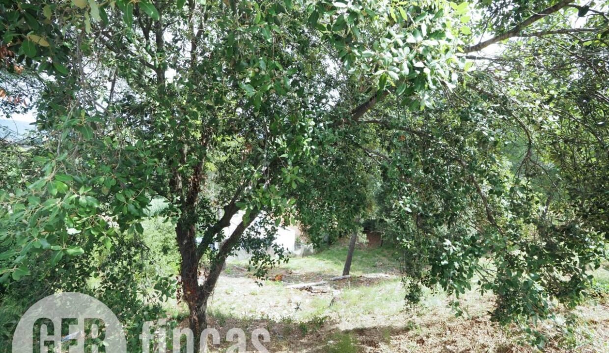 500806_55040968872_ff5677cb-376a-435b-aae2-f42141a9d7a5