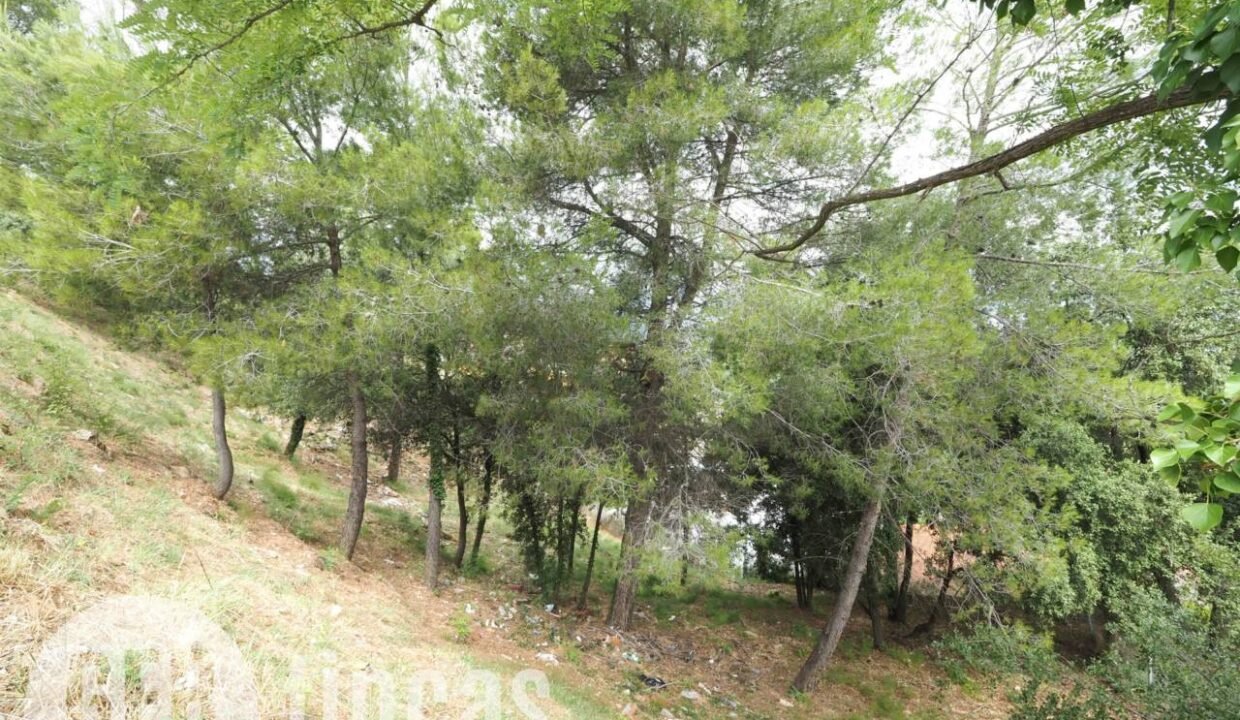 500806_55055604225_2387ce1d-1a6c-4797-9796-beddba6efee7