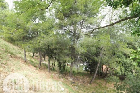 500806_55055604225_2387ce1d-1a6c-4797-9796-beddba6efee7