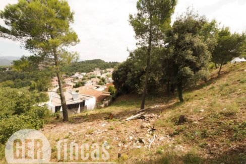 500806_55055604225_2c9f519e-414f-4cba-94f4-16f2bc05f4fb