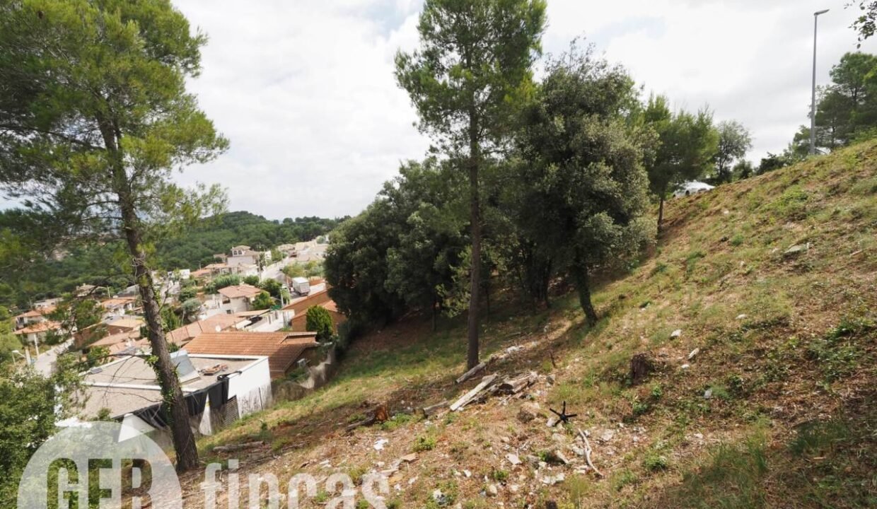 500806_55055604225_2eed2a29-9bc9-48d1-89fc-f8f7fcc94528