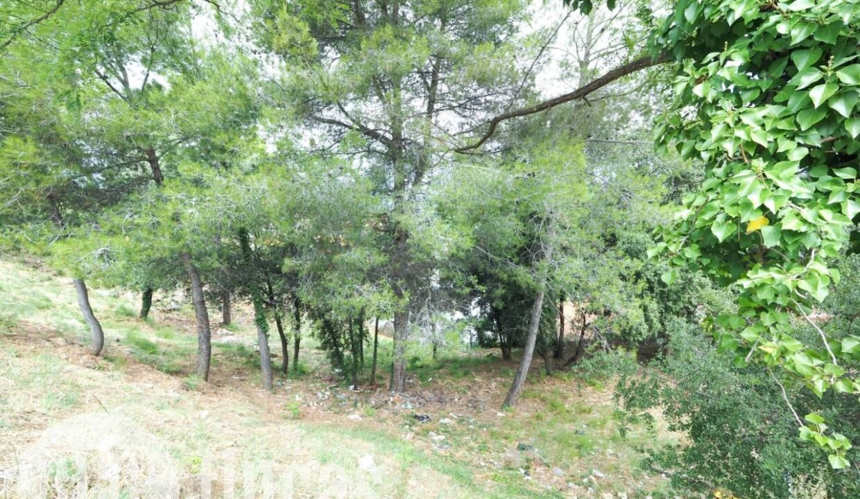 500806_55055604225_40abdb46-003b-4975-af76-7a1abca923c5