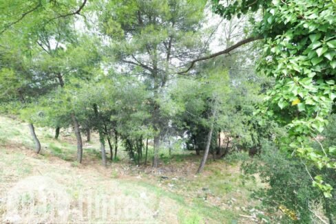 500806_55055604225_40abdb46-003b-4975-af76-7a1abca923c5