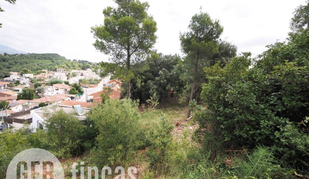 500806_55055604225_50765ffe-62b7-4d97-b3ee-56a799407d8a