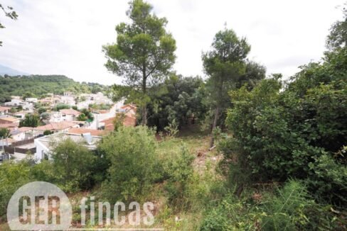 500806_55055604225_50765ffe-62b7-4d97-b3ee-56a799407d8a