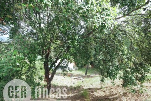 500806_55055604225_57e992ea-1326-450d-832e-587643677da8