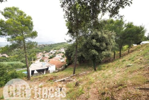 500806_55055604225_625d447d-178e-4201-b9aa-29d5ee7c01d9