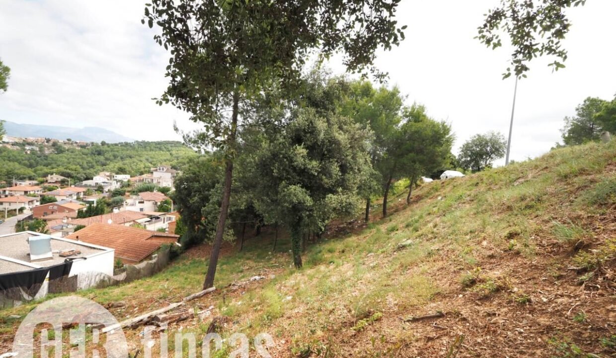 500806_55055604225_7cb2601d-e3f1-4b00-8164-fb7227b05f48