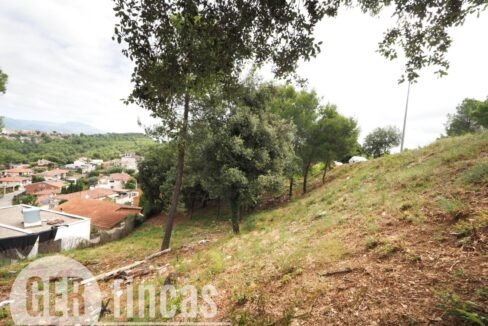 500806_55055604225_7cb2601d-e3f1-4b00-8164-fb7227b05f48