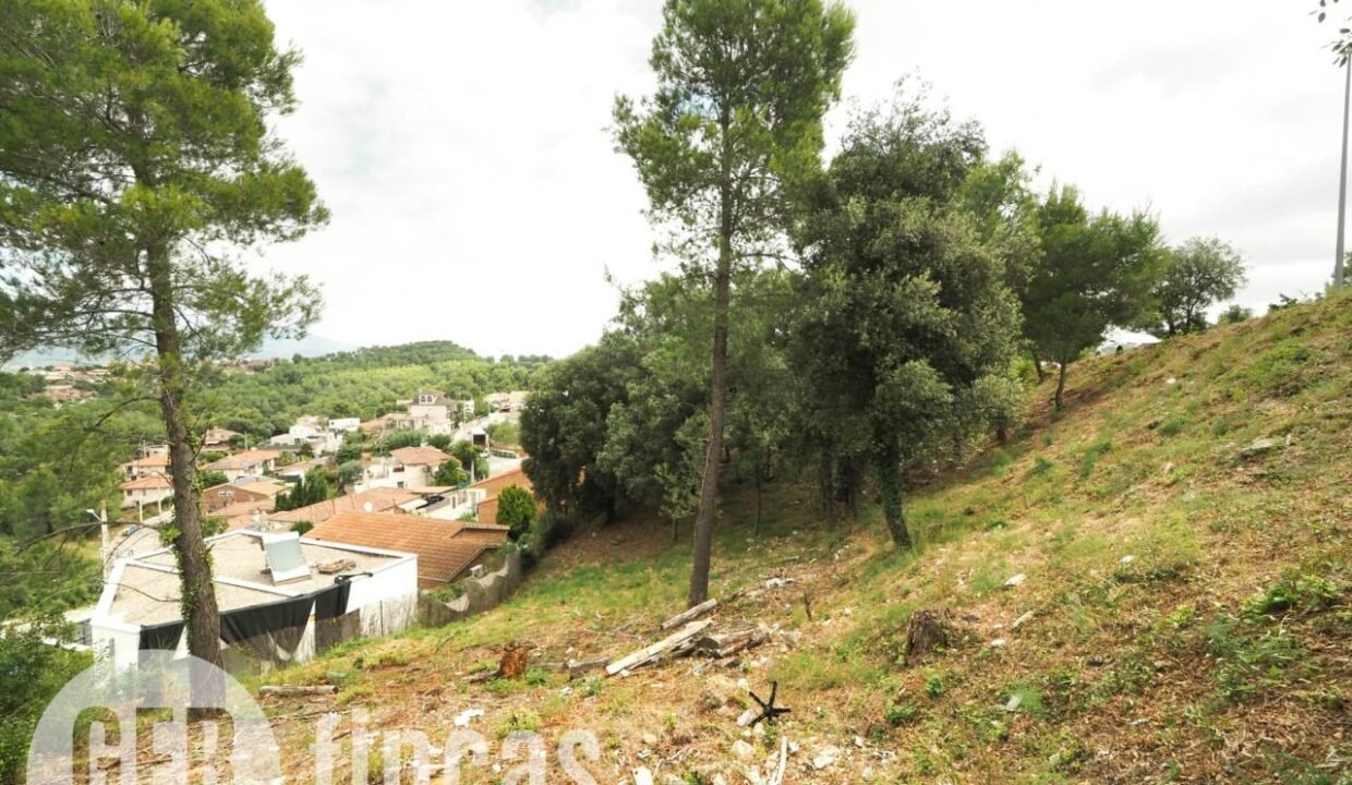 500806_55055604225_82b28780-6ebe-450b-89b8-4f35820e3e19