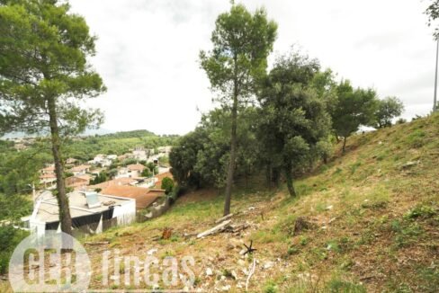 500806_55055604225_82b28780-6ebe-450b-89b8-4f35820e3e19