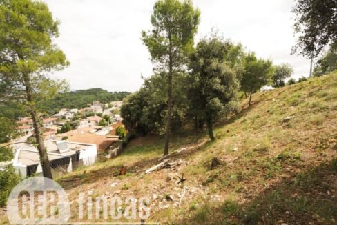 500806_55055604225_a28f6436-f902-405c-ac50-daba8da7d653