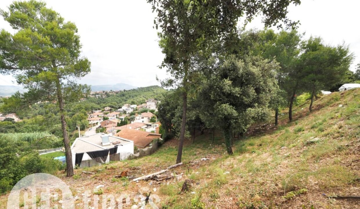 500806_55084126378_e8974d02-de66-4d1f-a7f6-da026276387d