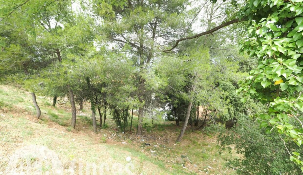 500806_55084126378_f541bd09-5872-4f41-8d10-704d6deadf64