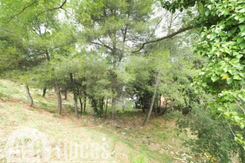 500806_55084126378_f541bd09-5872-4f41-8d10-704d6deadf64