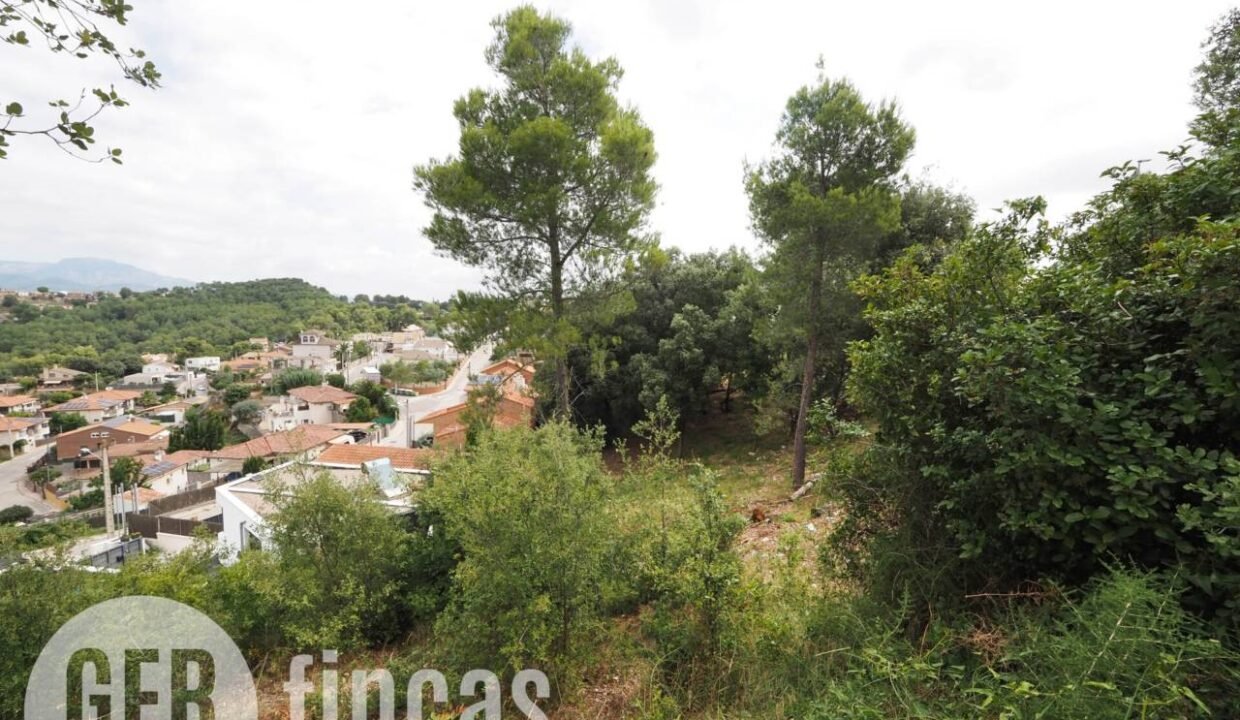 500806_55084126378_fb563ffc-2345-4f87-923f-e5c7b2b56a02