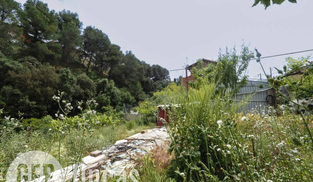 500806_55097763467_006075fd-bdc8-4d66-9424-317dc283fdcd