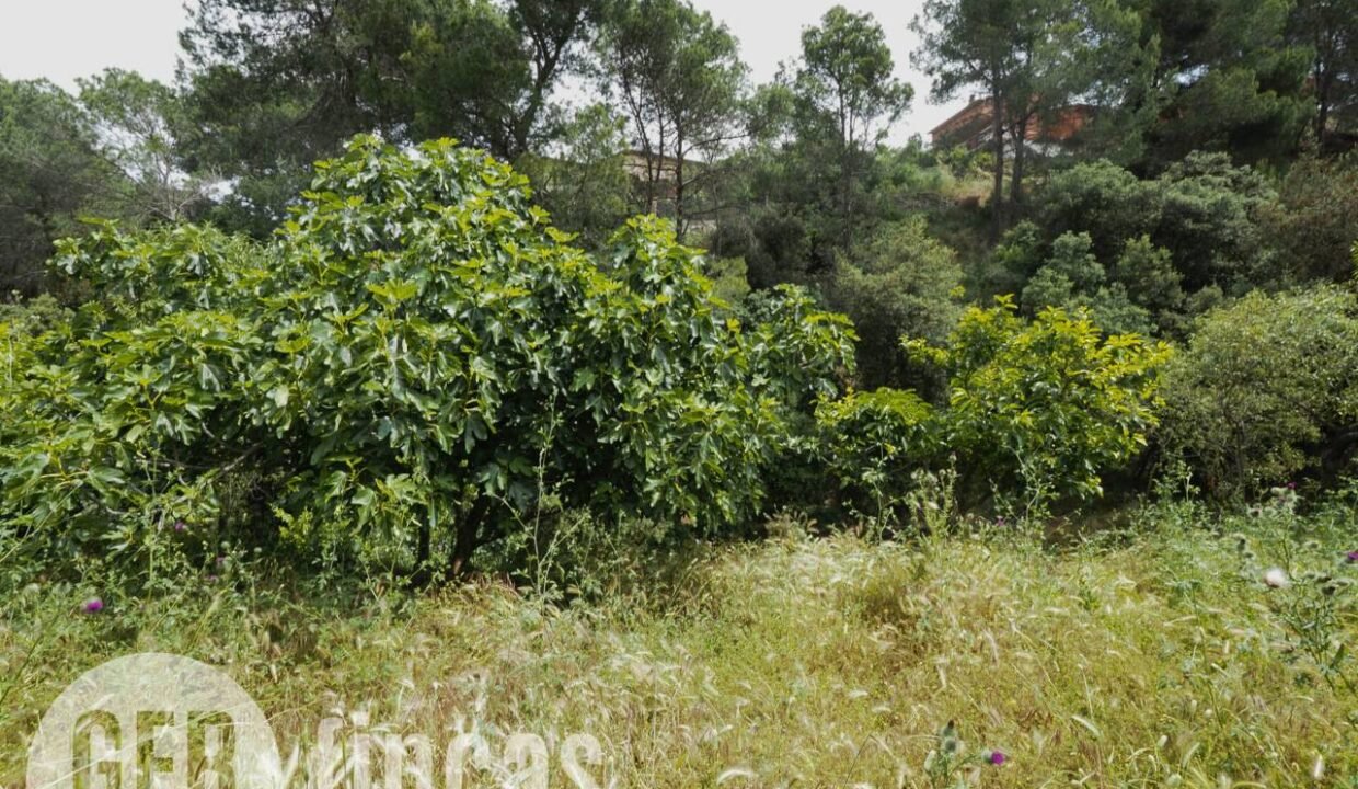 500806_55097763467_0d94e765-f8df-4e37-816c-f4ffbd703b41