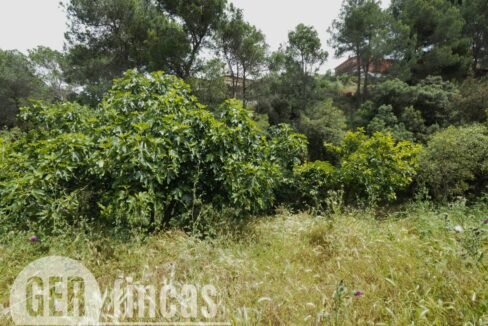 500806_55097763467_0d94e765-f8df-4e37-816c-f4ffbd703b41