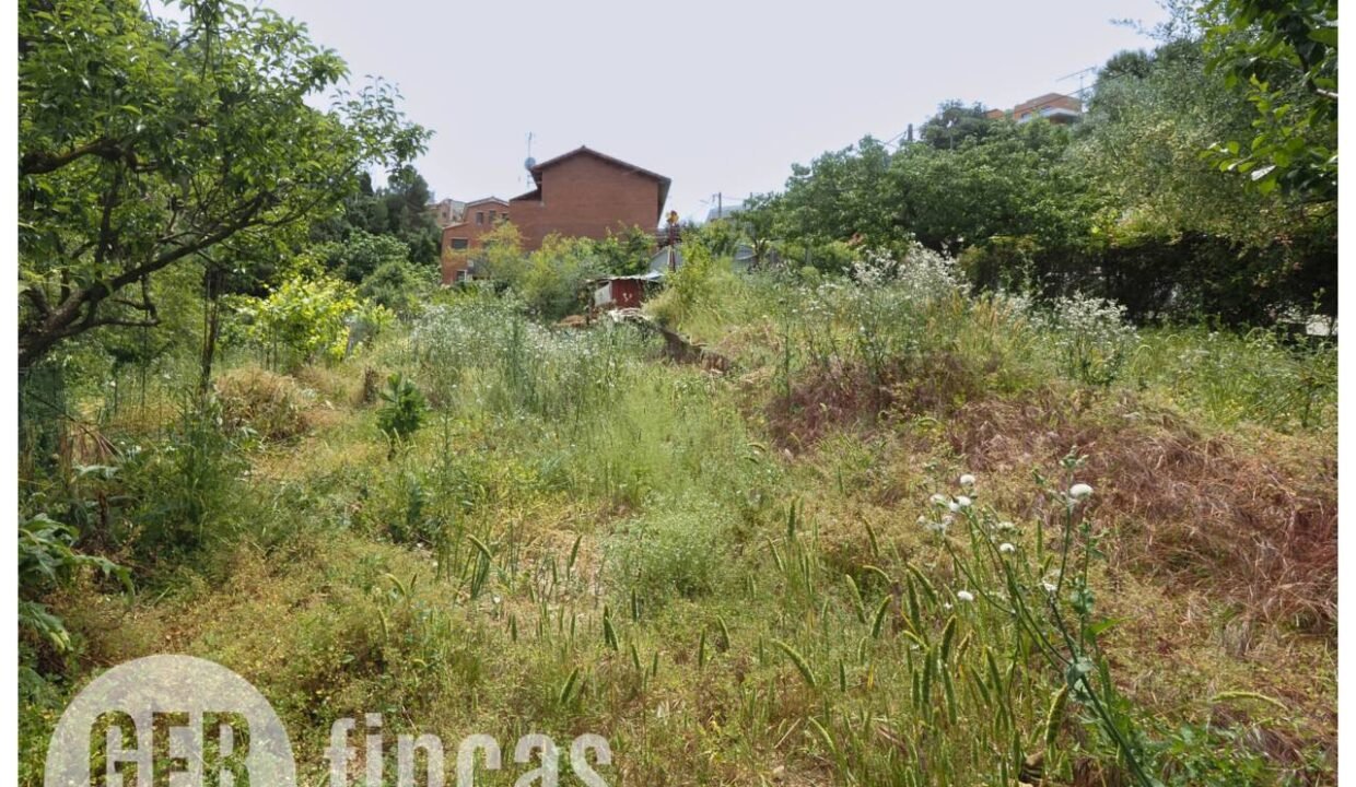 500806_55097763467_299121a8-f6c9-439d-9615-1f66a9ec0ea6