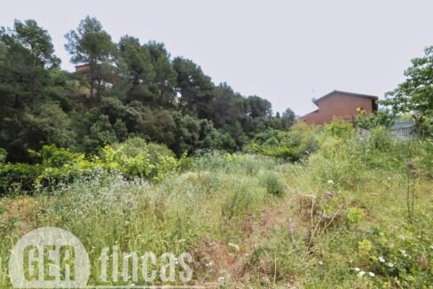 500806_55097763467_57b111ac-b52b-4a49-b66e-dc3e3b97115f