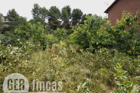 500806_55097763467_f5aea3bd-1967-461b-9460-57783680a290