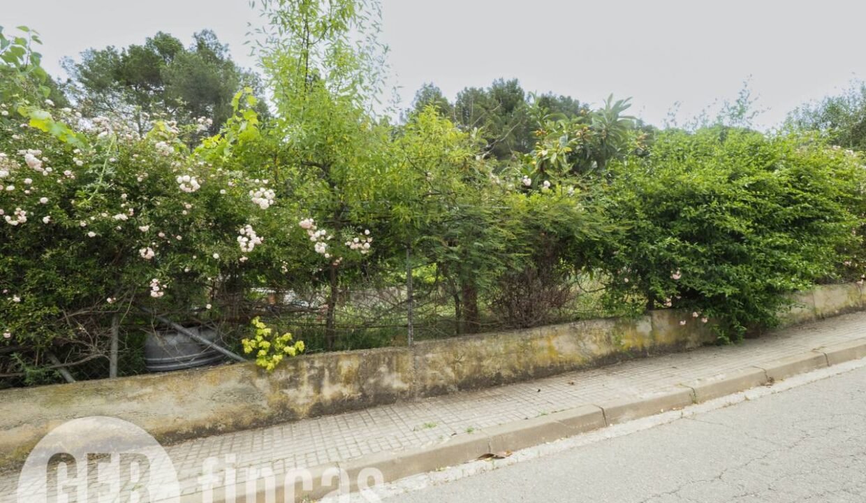 500806_55097763467_fe35587d-cb0e-4891-82a0-9e1ef1a4ac27