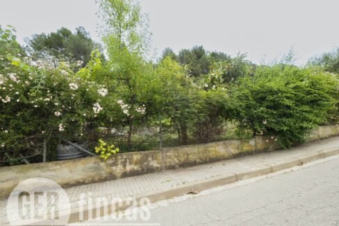 500806_55097763467_fe35587d-cb0e-4891-82a0-9e1ef1a4ac27