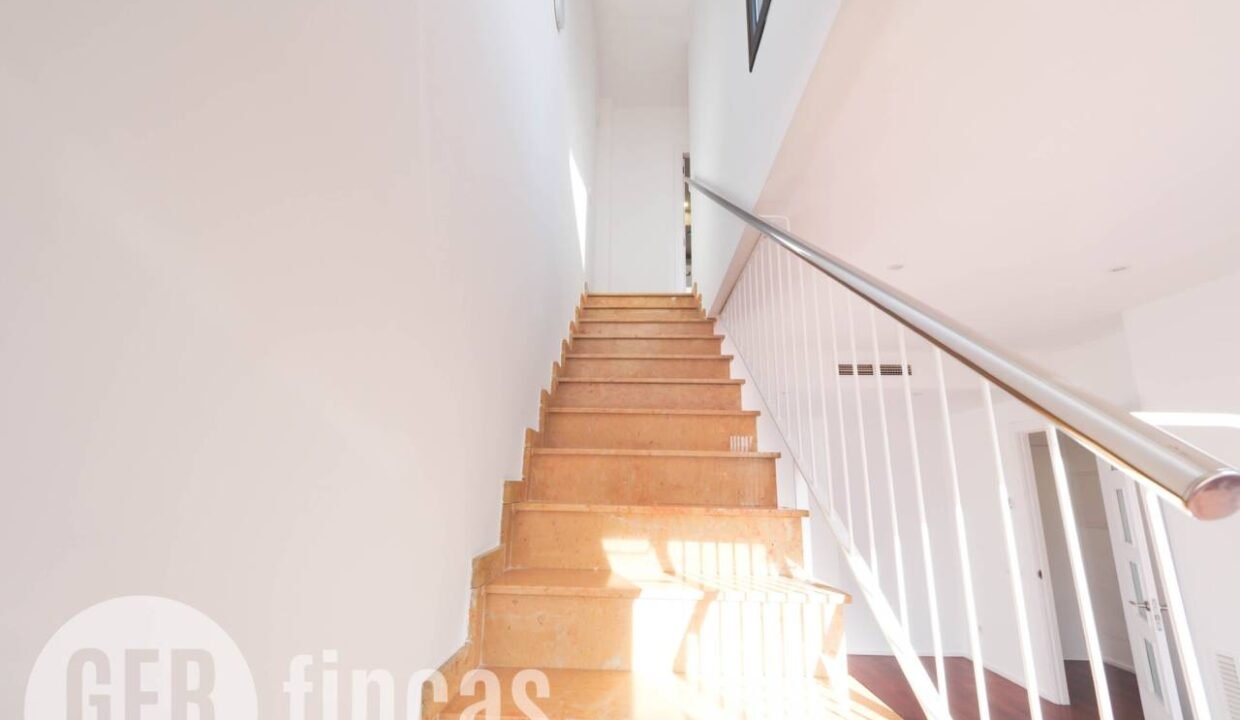 500806_61669786479_a37e5727-d452-4f32-96b0-dfed270e5cd8