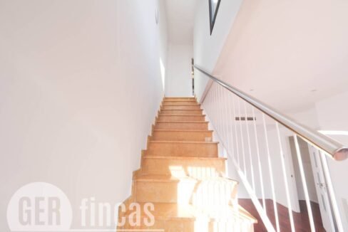 500806_61669786479_a37e5727-d452-4f32-96b0-dfed270e5cd8