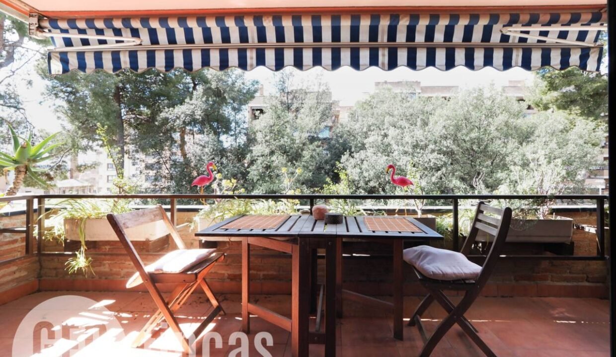 500806_62575808137_8e28992e-8b5f-4068-a64f-4a13d741fe7e