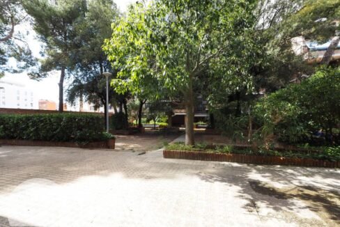 500806_62575808137_e678dd33-0ae8-4104-a608-1b6cd7adcaa0