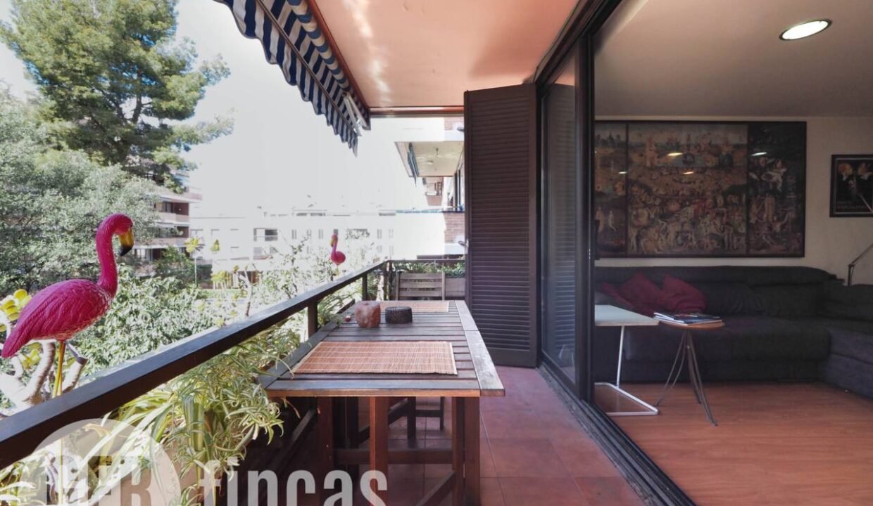 500806_62575808137_fdd297e2-1cc7-46e7-b580-051e6414603c