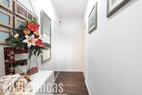 500806_62584530640_d4cfdbe8-9d01-4d35-bc1e-2a81a1235f1e