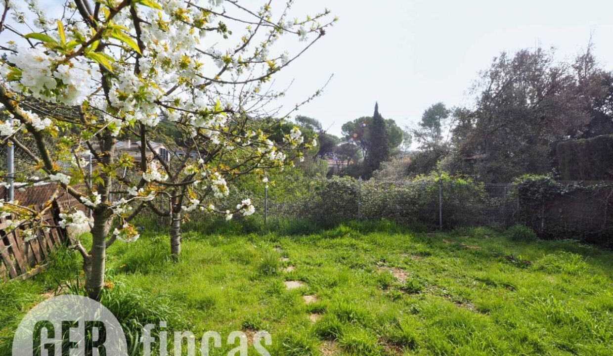 500806_62595209013_f4b8ded0-dd05-4c07-a491-d509d535aa8c