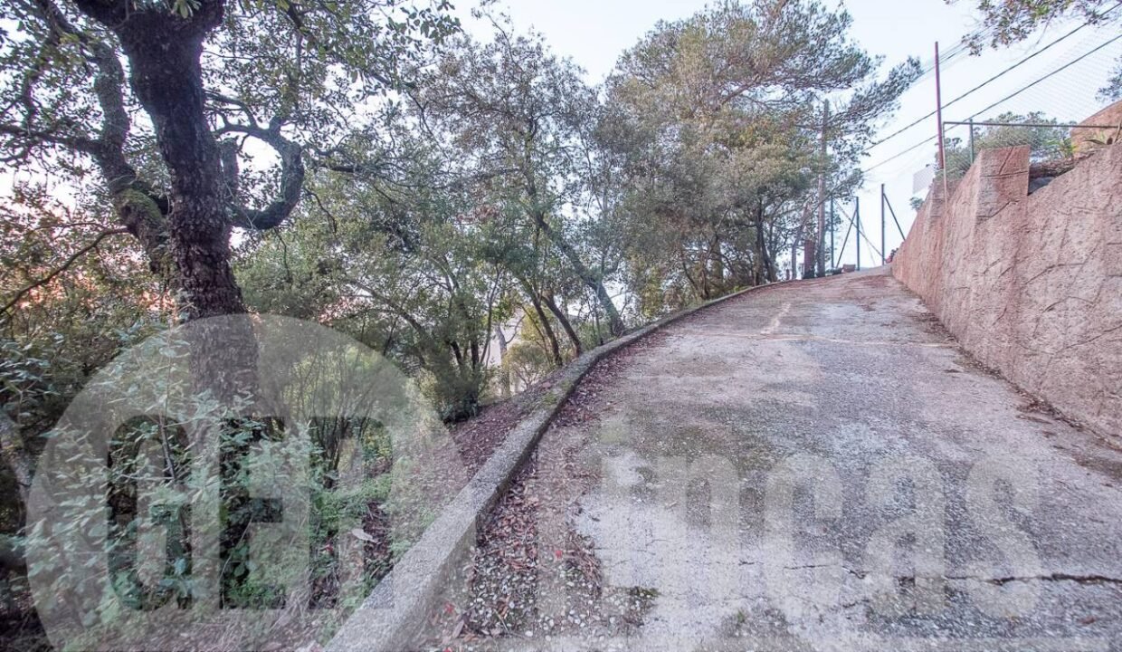 500806_69194524790_10_20161124194924