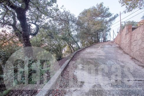 500806_69194524790_10_20161124194924