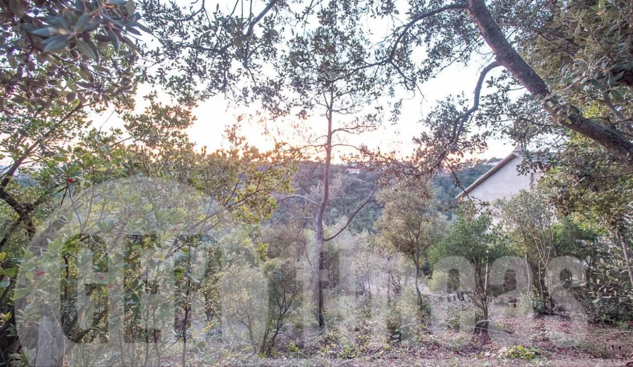 500806_69194524790_11_20161124194924