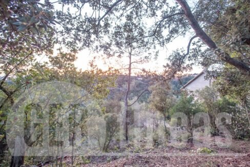 500806_69194524790_11_20161124194924